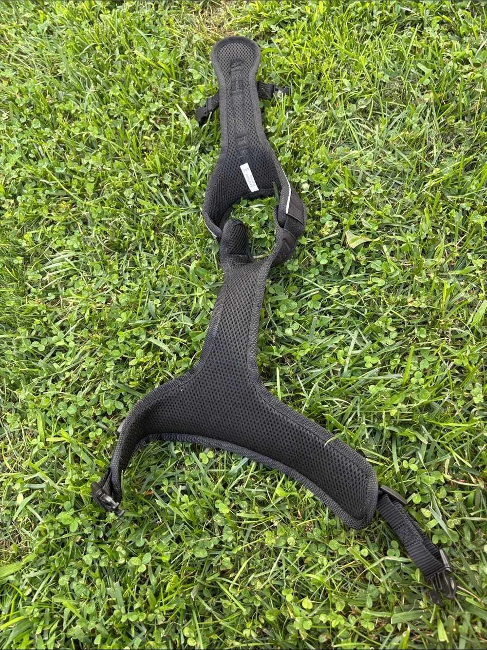 Easy Sport Dog Harness